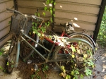 hashimoto apartments more bikes